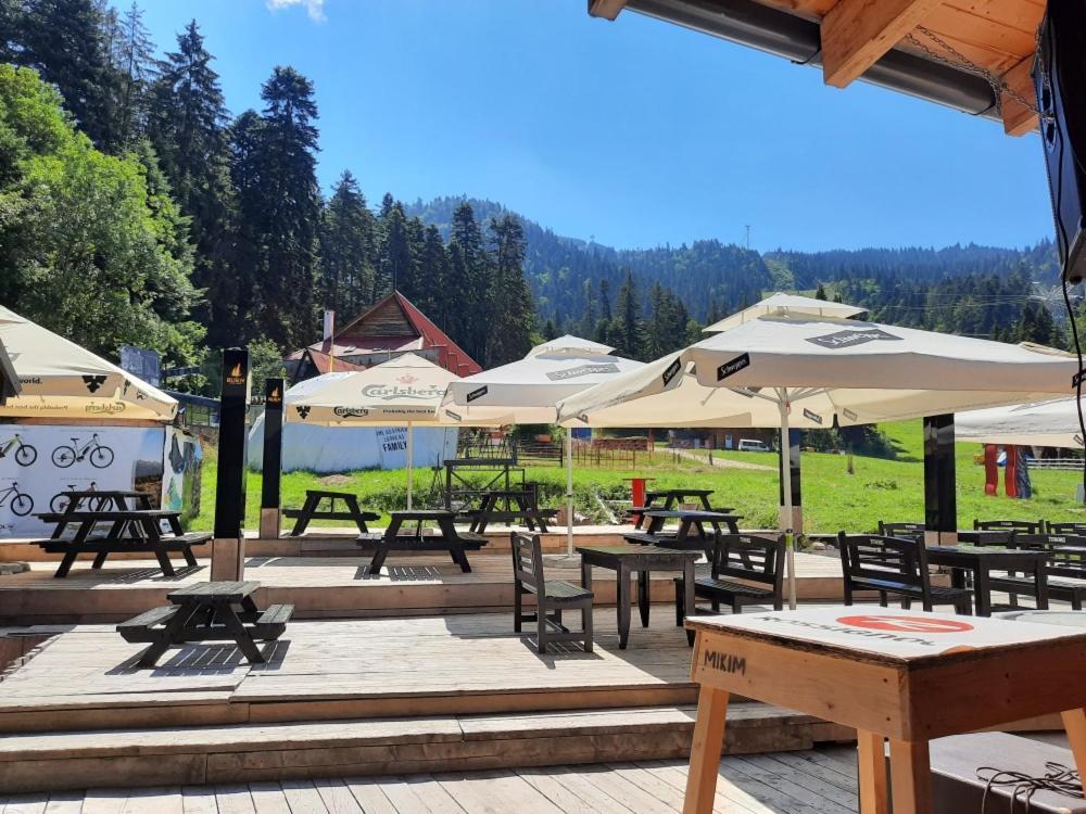 Club Rossignol Hotell Poiana Brasov Exteriör bild